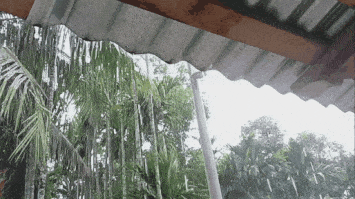 GIF_20250605_222758_571.gif