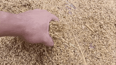 GIF_20250522_224930_177.gif