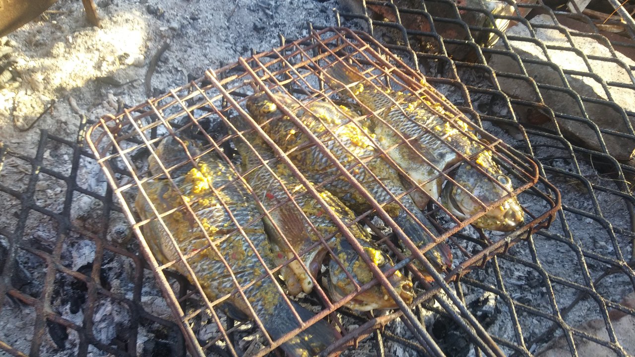 20190209_184933.jpg