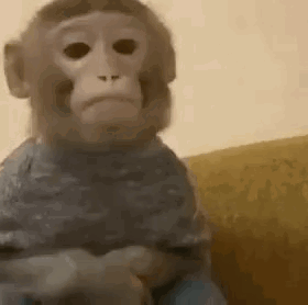StanTwtSillyGIF.gif