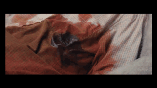 image.gif