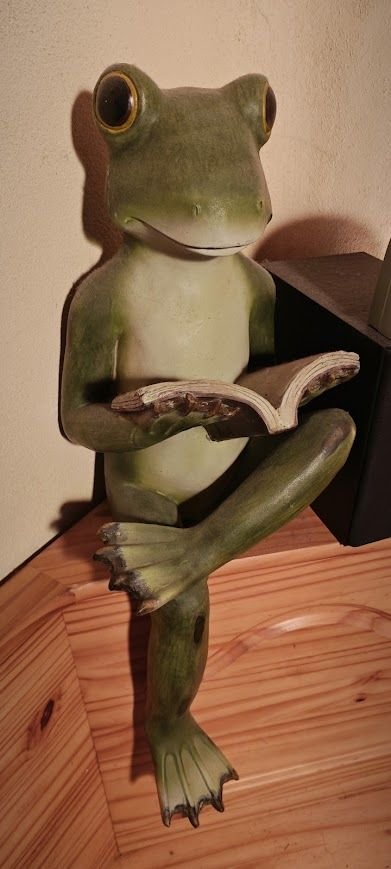 Connies Lesefrosch.jpg