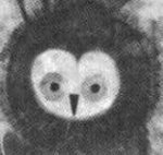 owls greyscale detail.jpg