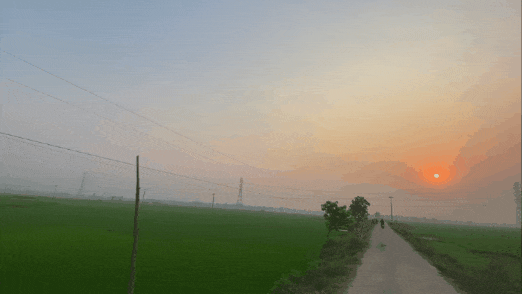 1000018876.gif