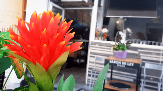 3.gif