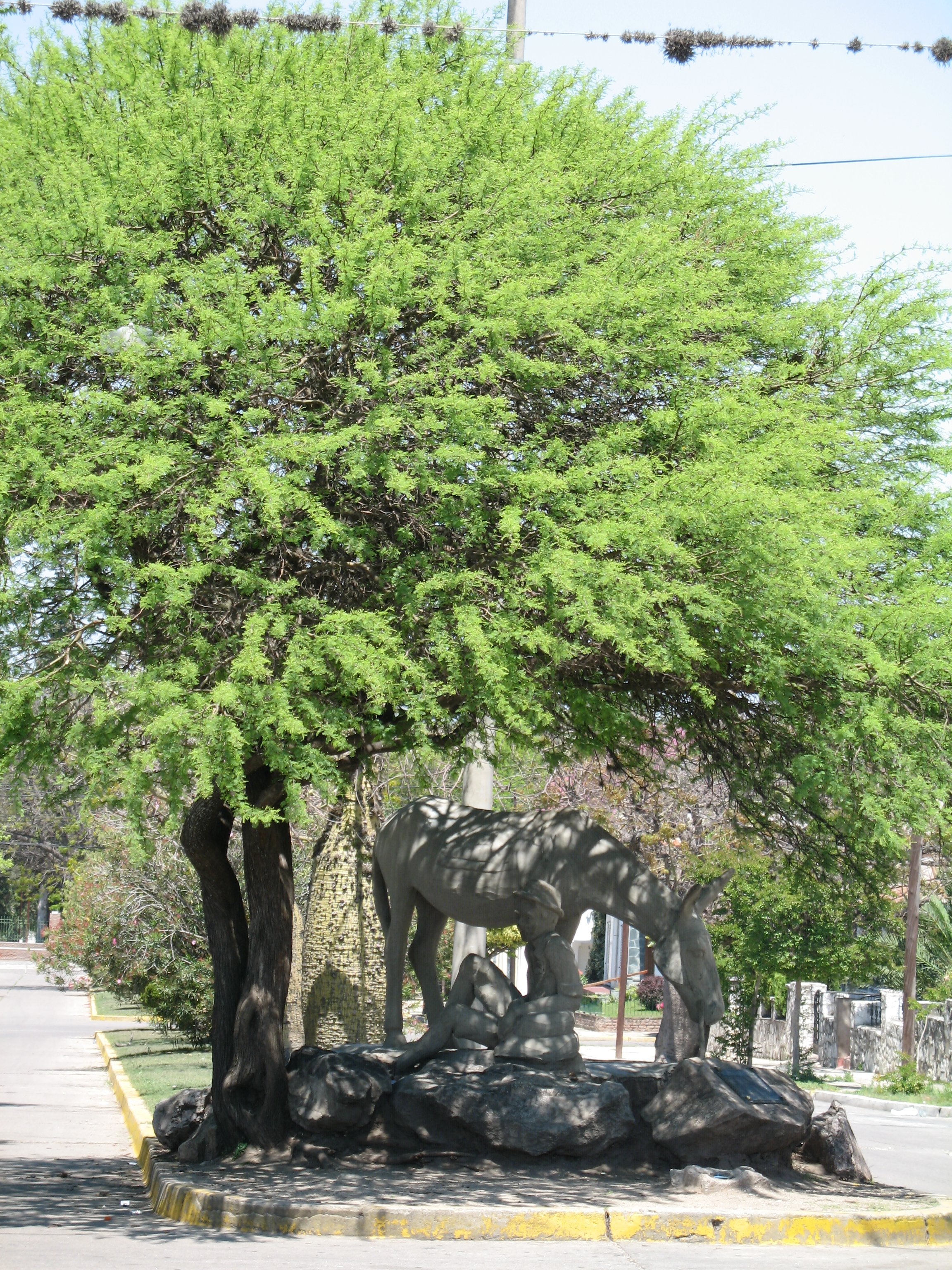 IMG 004.jpg