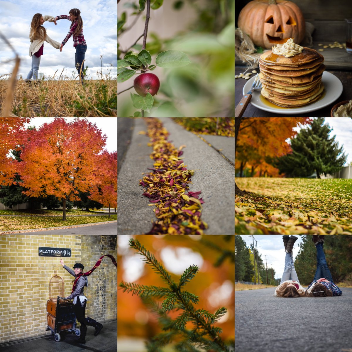 Steemit Fall Collage (1) (1).jpg