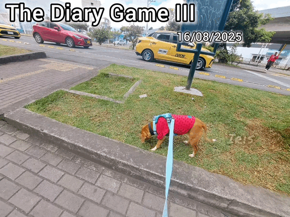 1000021949.gif