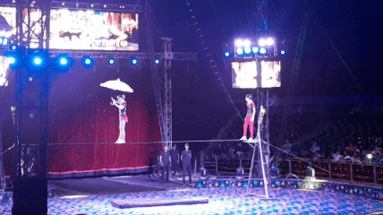 InShot_20250604_175150724.gif