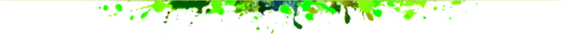 Separator-green.png