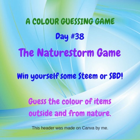 Naturestorm Day #38.jpg