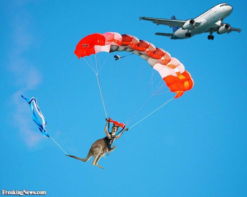 Kangaroo-Skydiving--105986_2.jpg