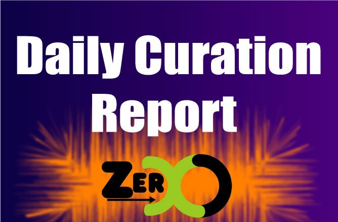 curation-report.jpg