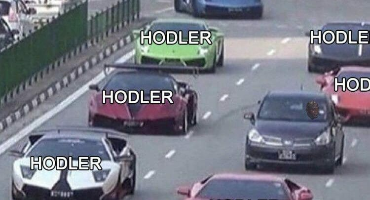 HODL PICTURES GIFS MEMES — Steemkr