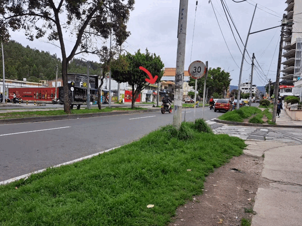 1000021010.gif
