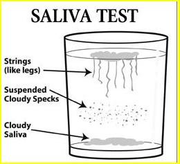 salivatest2a.jpg