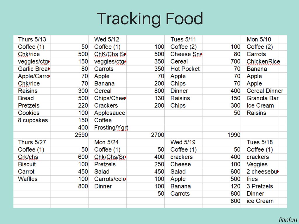 Tracking food fitinfun.jpg