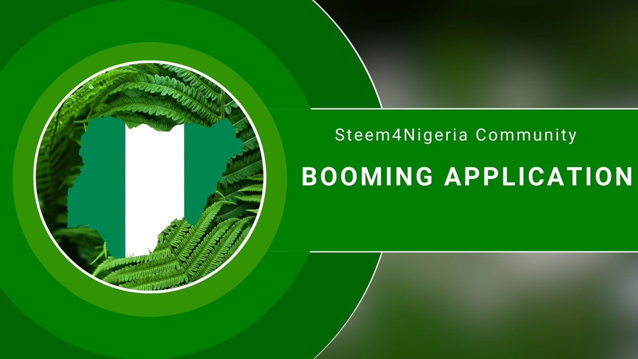 Steem4Nigeria Accelerator 2.1 (11).jpg