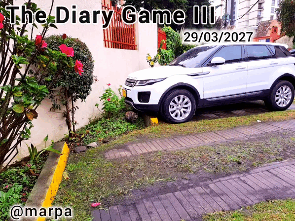1000011994.gif