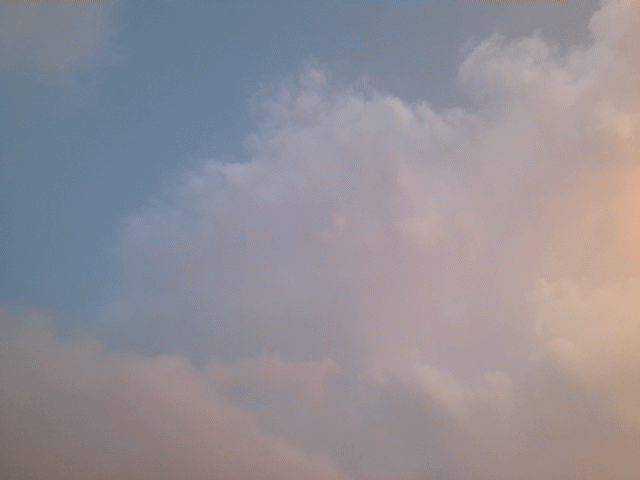 1000121061.gif