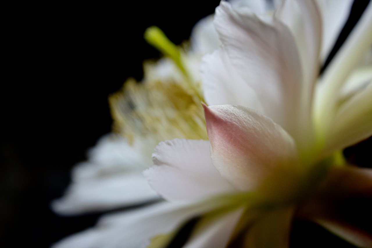 IMG_6623.jpg