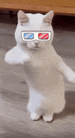 DancingCatGIF.gif