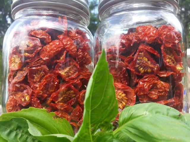 tomato_basil_close.jpg