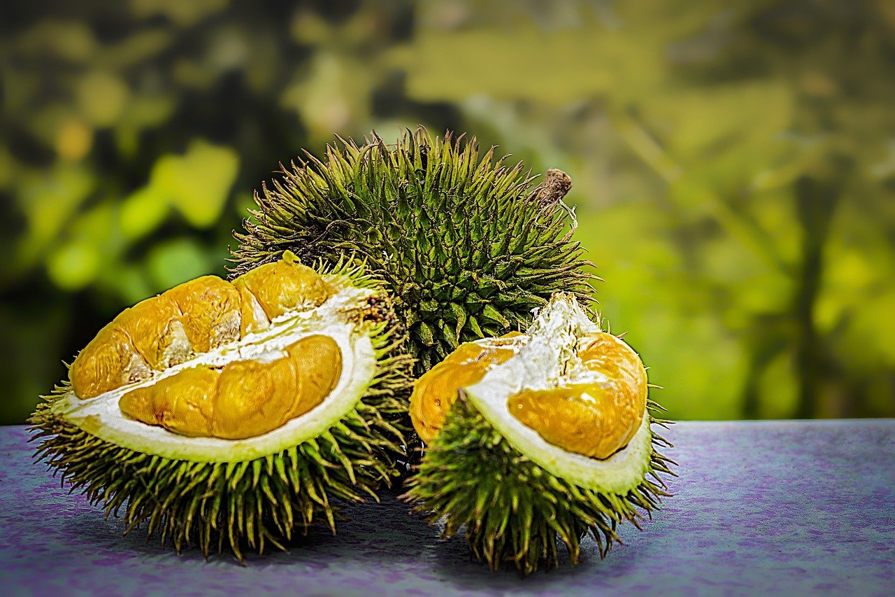 durian-3597242_1280.jpg