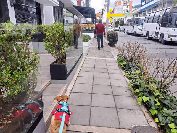 1000021952.gif