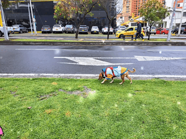 1000033018.gif