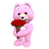 5954.png