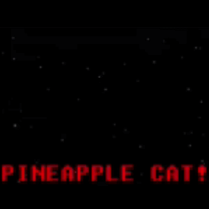 pineapple cat.gif