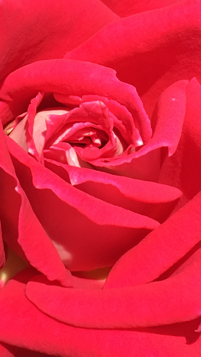 4D5041B9-7D05-4CC2-94A5-1E206FD74247.png