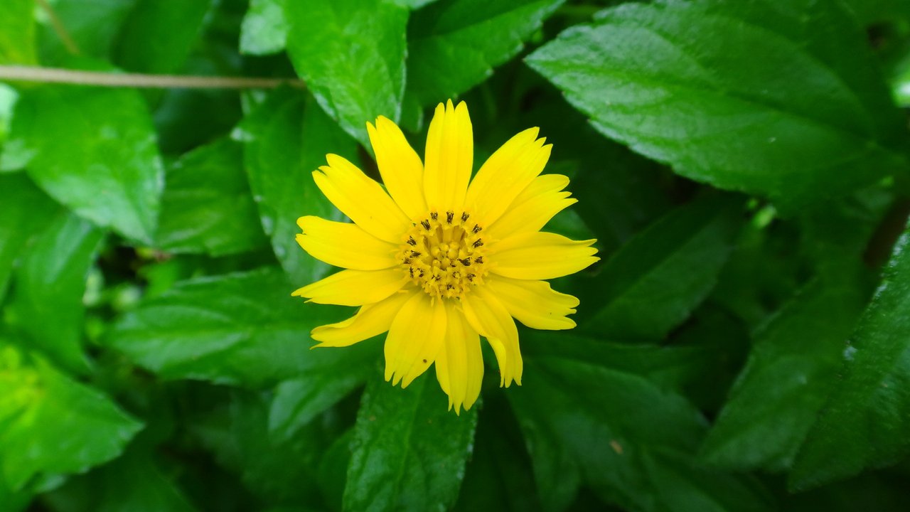 DSC03707.JPG