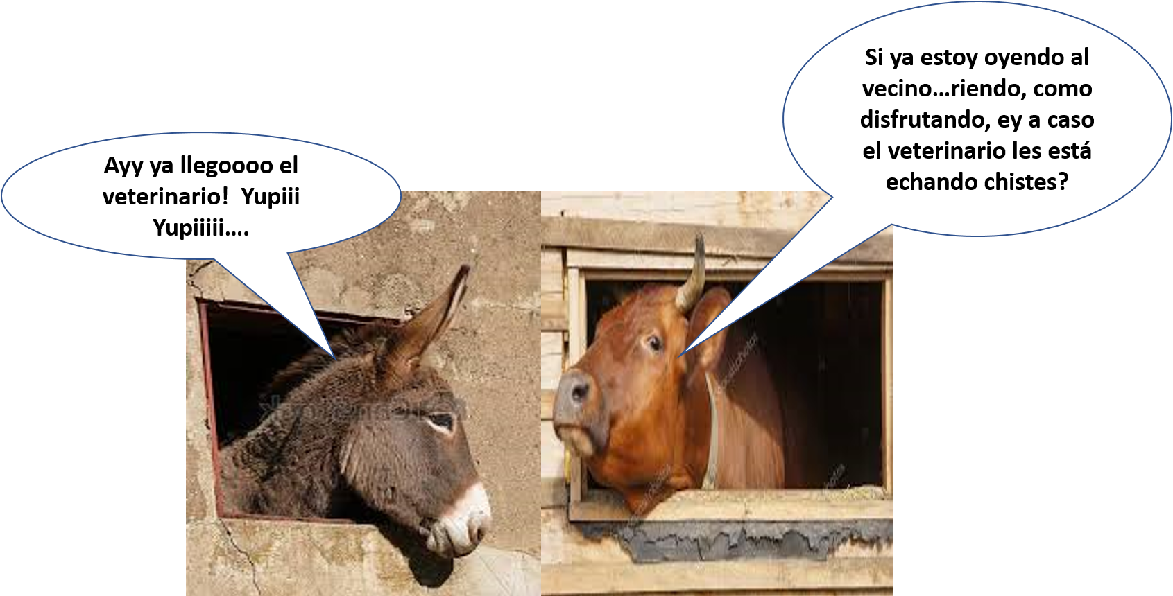 Imagen5entrada1.png