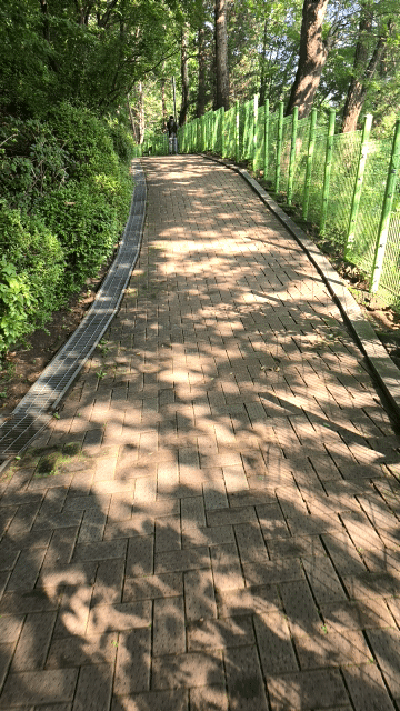1000132767.gif