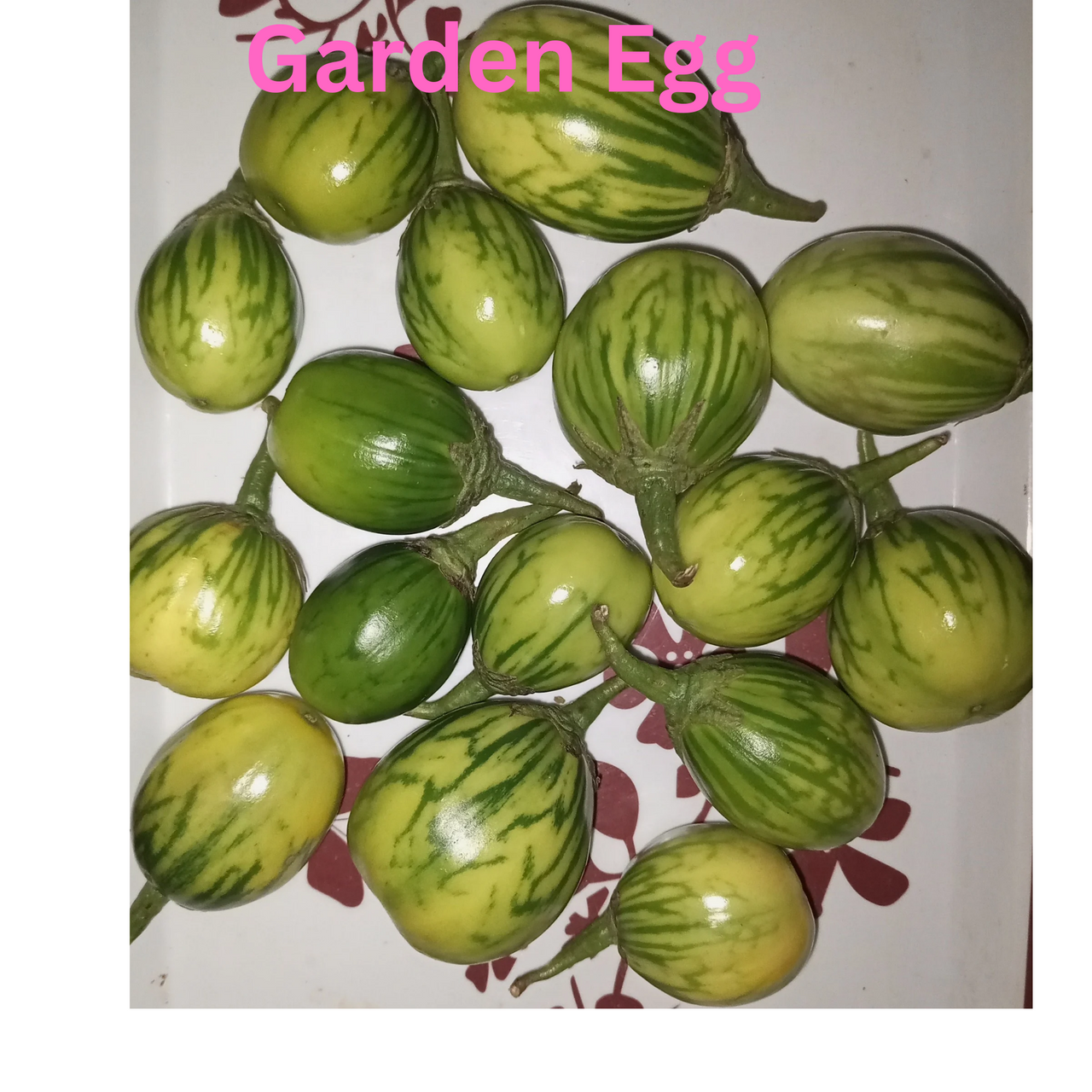 Garden Egg_20241111_173218_0000.png