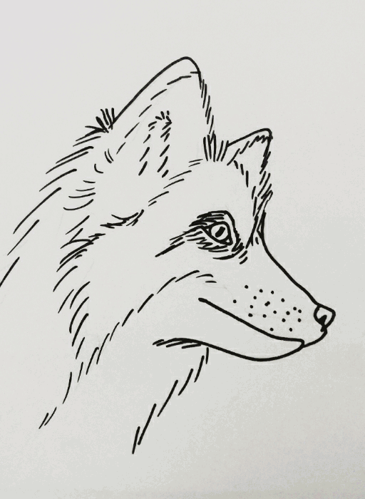 fox.1..gif