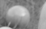 baby grey scale detail.jpg