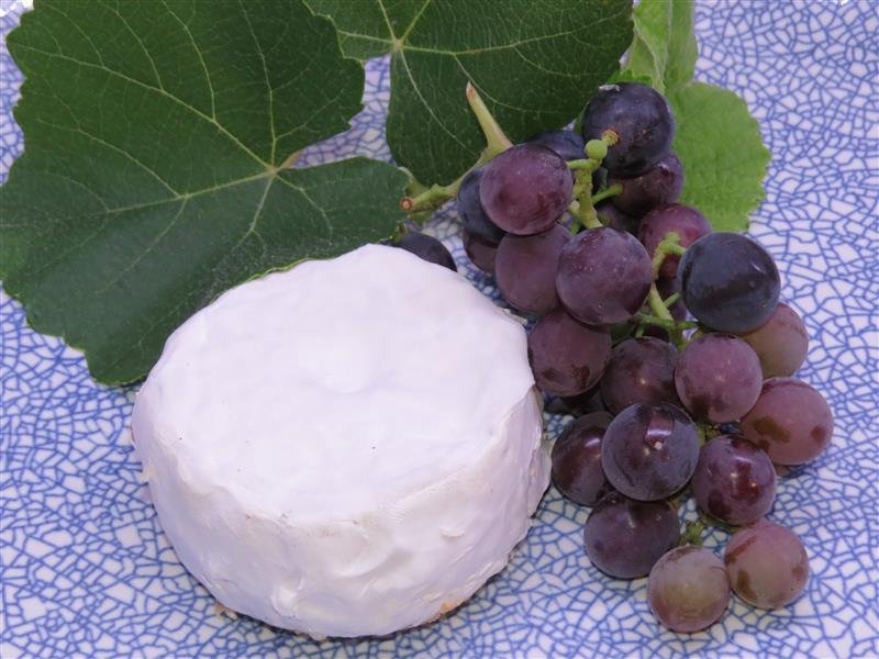 Goshna Camembert 114.JPG