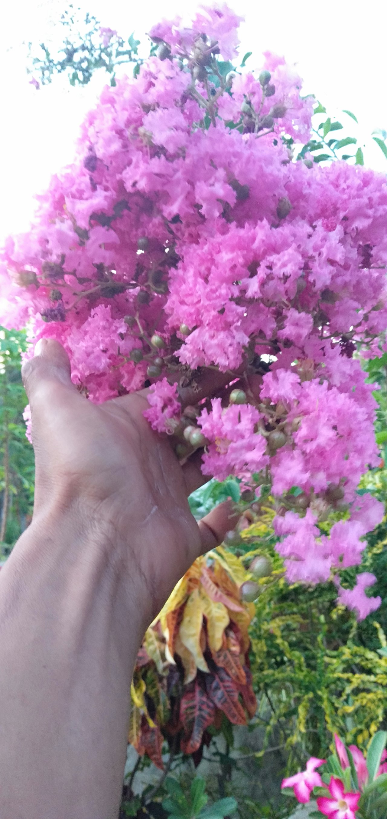 IMG20190429183720.jpg