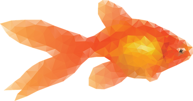 fish-1101446_640.png