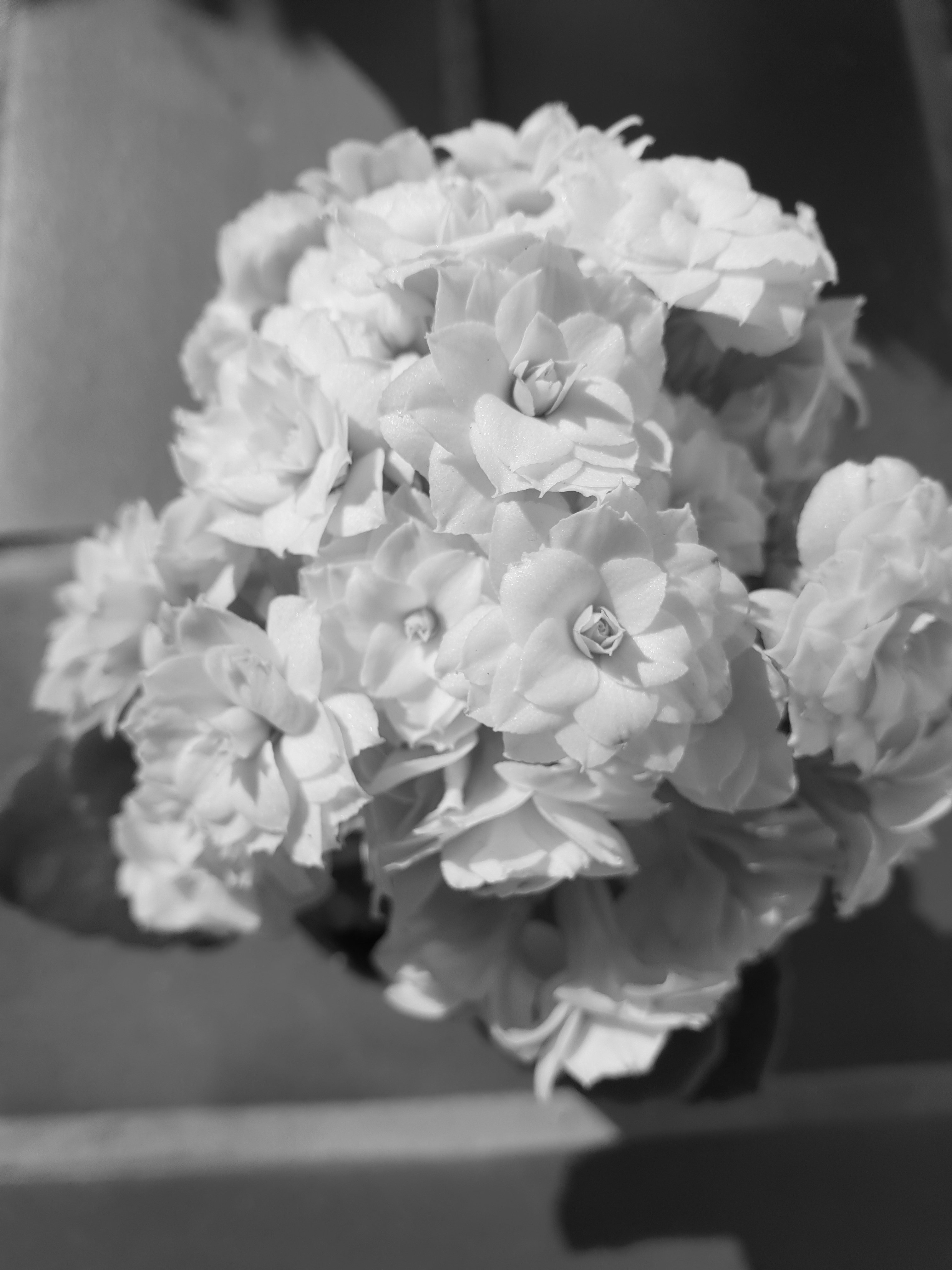 20180909_104206.jpg