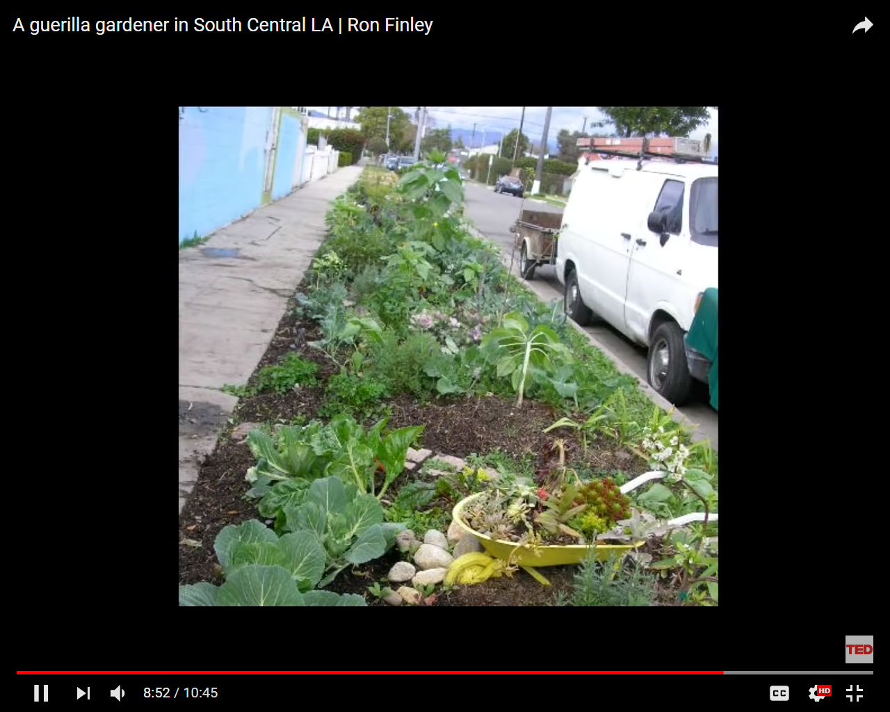 Image result for a guerilla gardener in south central la"