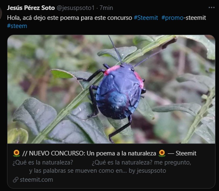 Imagen1.jpg
