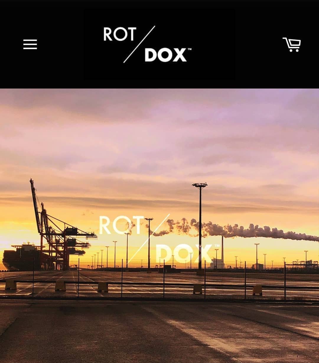 Rotterdam Dockers website Dockworkers.jpg