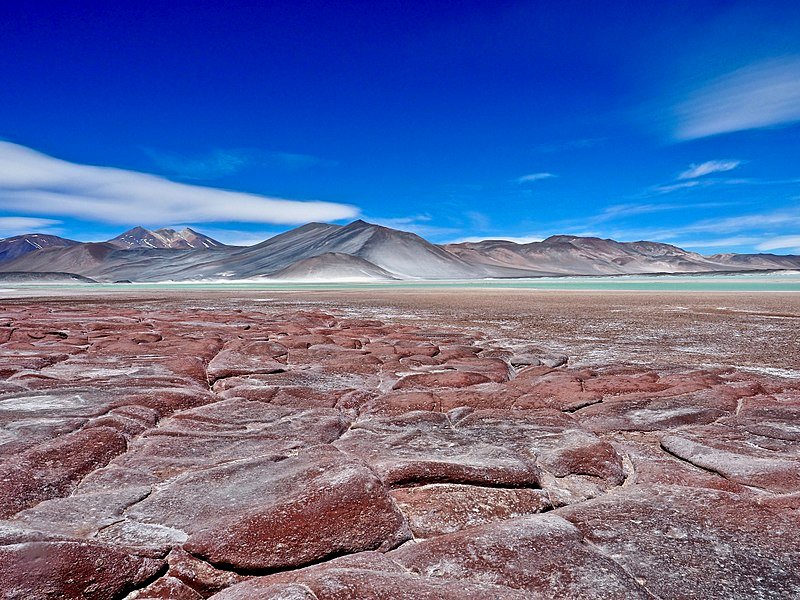 800px-Piedras_Rojas,_Atacama_Desert,_Chile.jpg