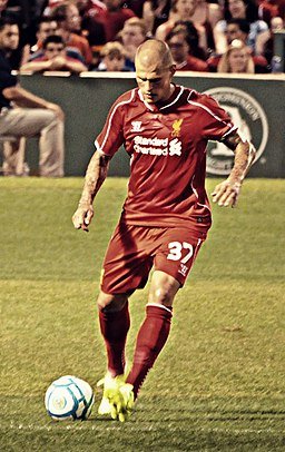 Martin_Skrtel_2014_(cropped).jpg