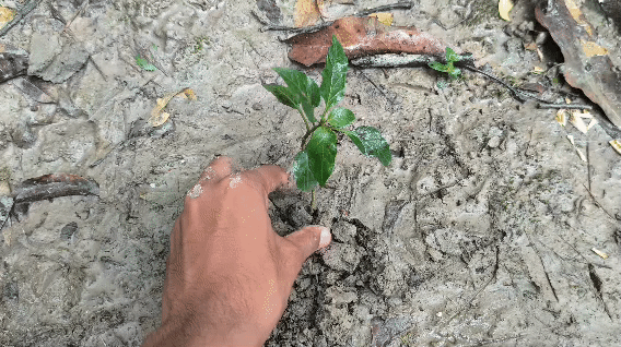 1000043332.gif