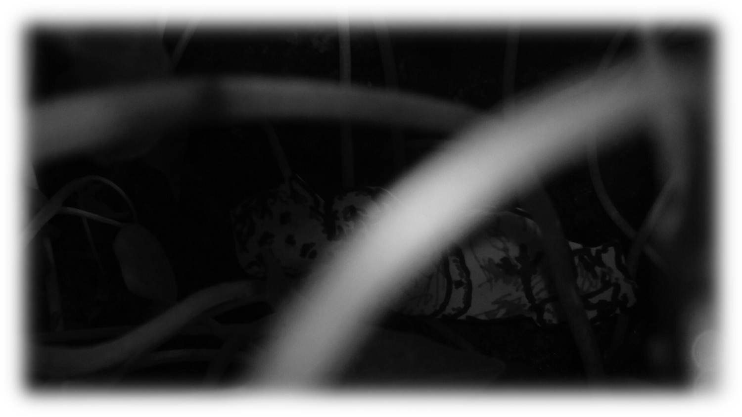 29 veintinueve A.jpg